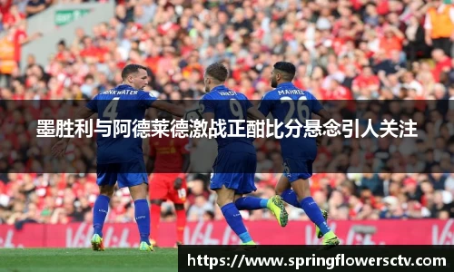 墨胜利与阿德莱德激战正酣比分悬念引人关注